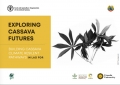 Building cassava resilient pathways in Lao People's Democratic Republic